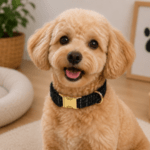 3 und. x $11.730 ($3.910 c/u) - Collar Premium para Mascota - Imagen 2