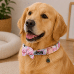 3 und. x $16.980 ($5.660 c/u) - Collar con Moño para Mascota - Imagen 2