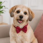 6 und. x $2.700 ($450 c/u) - Collar con Corbatín para Mascotas Ajustable - Imagen 2
