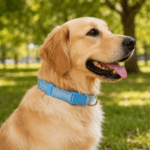 6 und. x $8.700 ($1.450 c/u) - Collar Ajustable para Mascotas - Imagen 2