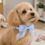 6 und. x $5.700 ($950 c/u) - Collar con Moño para Mascotas - Imagen 2