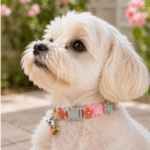 6 und. x $5.700 ($950 c/u) - Collar Floral para Mascotas - Imagen 2