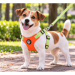 3und. x $8.280 ($2.760 c/u) - Arnés para Mascotas con Correa - Imagen 2