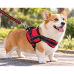 3und. x $11.760 ($3.920 c/u) - Arnés Acolchado para Mascotas - Imagen 2