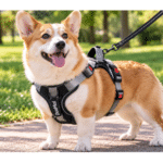 2und. x $14.500 ($7.250 c/u) - Arnés Ajustable y Acolchado para Mascotas - Imagen 2