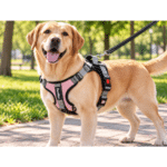 2und. x $18.900 ($9.450 c/u) - Arnés Premium Acolchado para Mascotas - Imagen 2
