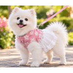3und. x $10.020 ($3.340 c/u) - Arnés Vestido para Mascotas - Imagen 2