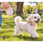 3und. x $9.150 ($3.050 c/u) - Correa Retráctil para Mascotas - Imagen 2