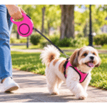 3und. x $7.410 ($2.470 c/u) - Correa Retráctil Automática para Mascotas - Imagen 2