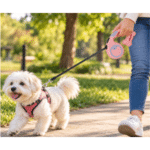 3und. x $11.730 ($3.910 c/u) - Correa Retráctil para Mascotas - Imagen 2