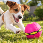 3und. x $8.700 ($2.900 c/u) - Pelota Interactiva para Perros - Imagen 2