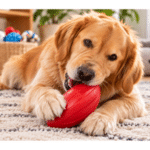 6und. x $5.700 ($950 c/u) - Juguete Pelota Ovalada Texturizada para Mascotas - Imagen 2