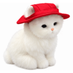 6und. x $13.080 ($2.180 c/u) - Gorra para Mascotas