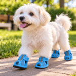 3set. x $11.700 ($3.900 c/set) - Sandalias para Mascotas - Imagen 2
