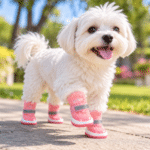 3set. x $17.400 ($5.800 c/set) - Zapatos para Mascotas - Imagen 2