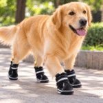 3set.x $18.270 ($6.090 c/set) - Zapatos Deportivos para Mascotas - Imagen 2
