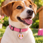 12und. x $6.360 ($530 c/u) - Placas Decorativas para Mascotas - Imagen 2